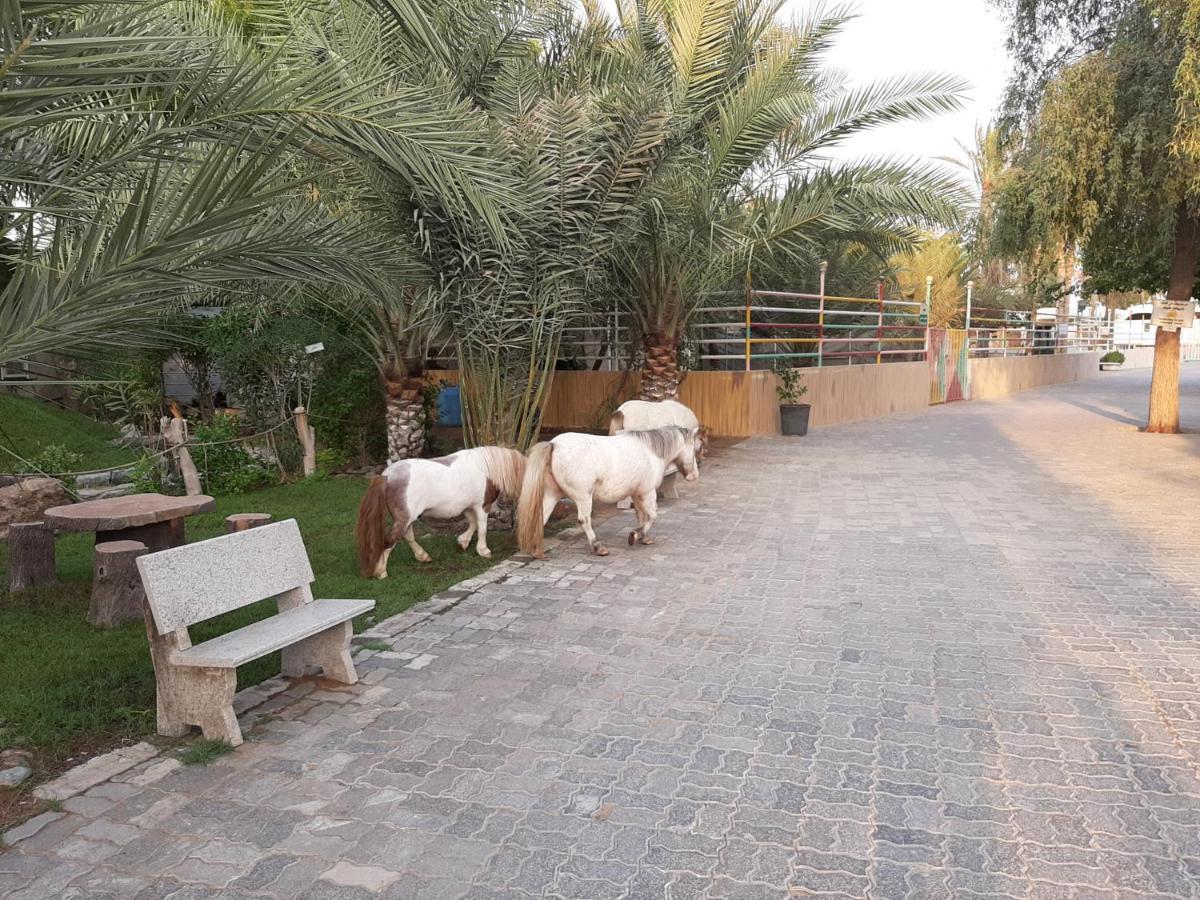 Daraysh Hotel Adh Dhayd Exterior photo